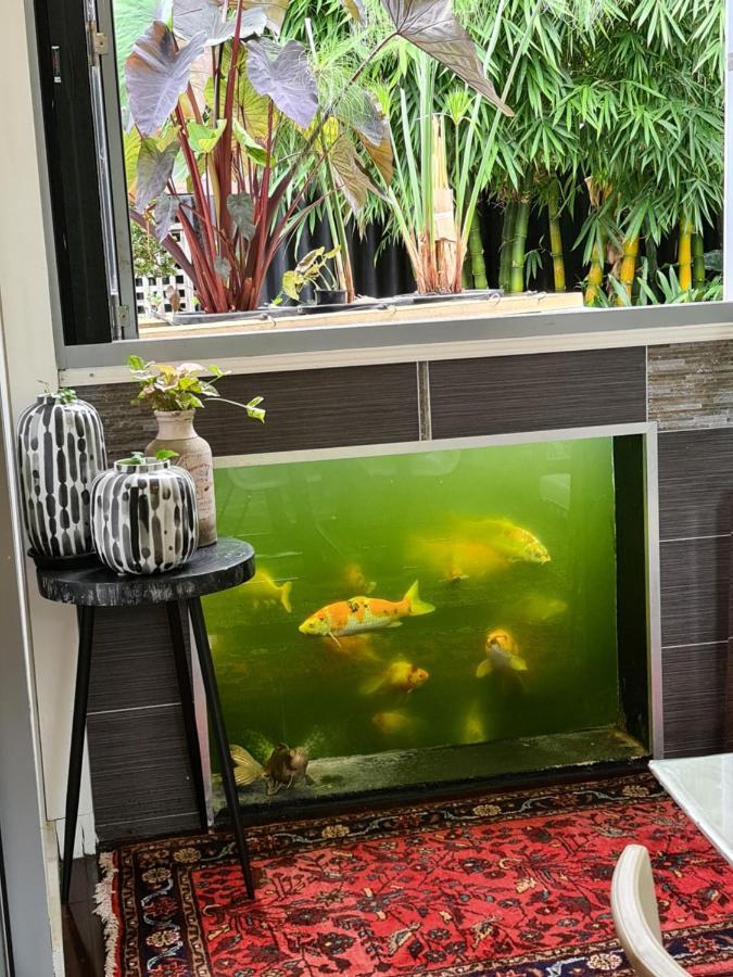 Bamboo House, Close To The City & Airport & Train Station And Brighton Le Sands Beach Sydney Exteriör bild