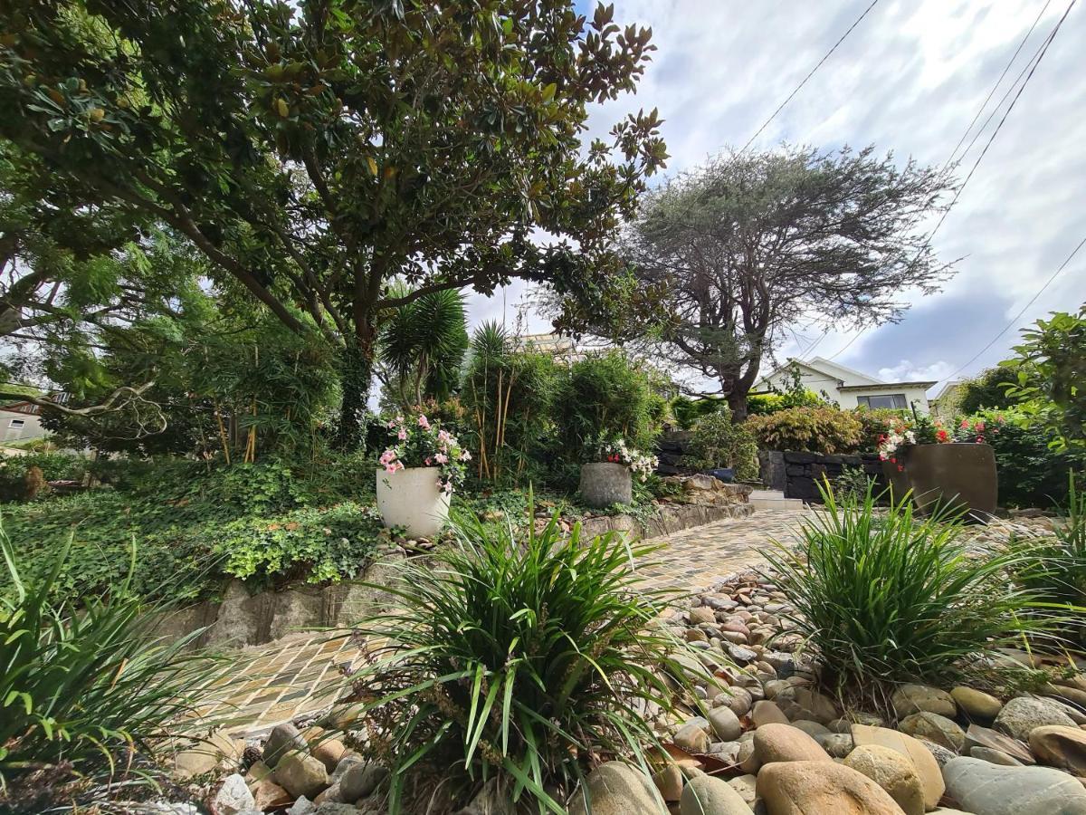 Bamboo House, Close To The City & Airport & Train Station And Brighton Le Sands Beach Sydney Exteriör bild
